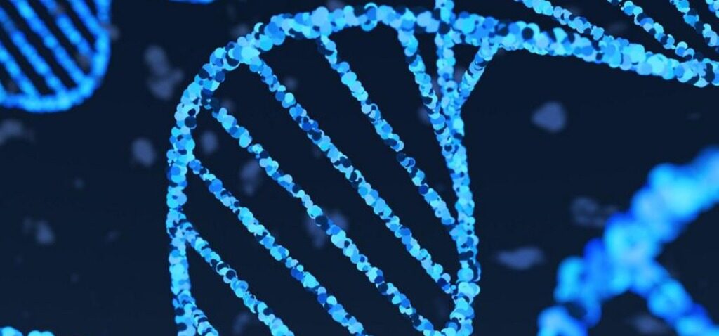 recette - Le modèle d'IA de DeepMind de Google déchiffre la recette de la vie dans l'ADN