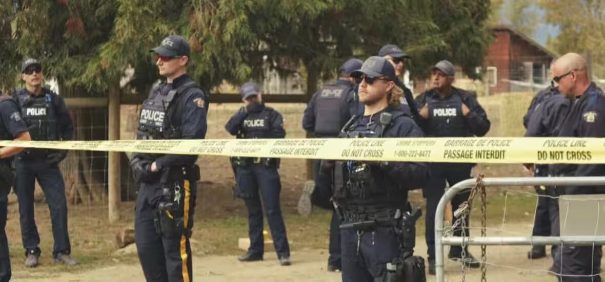 autruches - Près de 7 millions de dollars de fonds publics dépensés pour l'abattage d'autruches à Edgewood, C.-B., révèlent les données