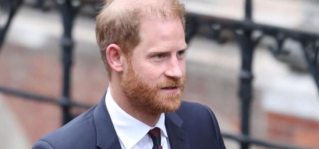 Harry - L'enquêteur a-t-il commis des actes illégaux concernant Harry ? Le tribunal l'entend.