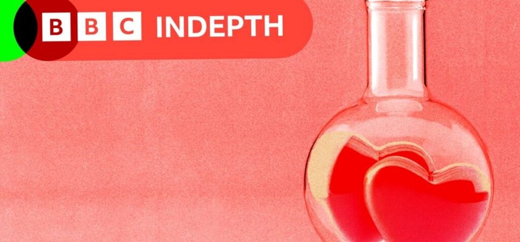 âmes - La science des âmes sœurs : Y a-t-il vraiment quelqu'un qui vous correspond parfaitement ?