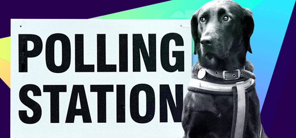 élections - Un guide essentiel sur les élections de mai en Angleterre, en Écosse et au Pays de Galles