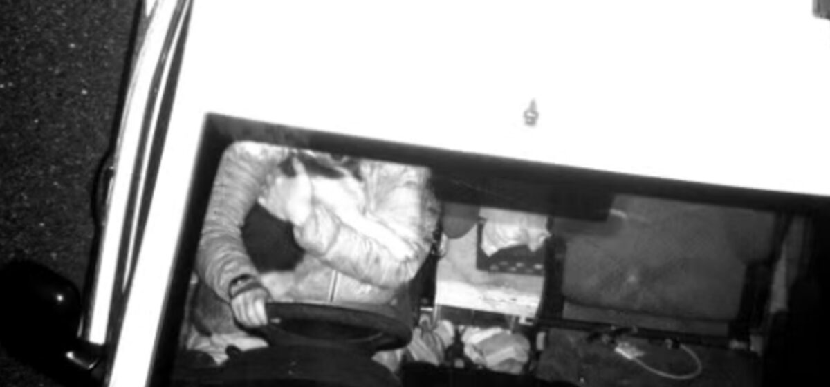 chien - « Laissez votre chien à l'arrière » : un automobiliste britannique verbalisé pour avoir câliné son chien au volant