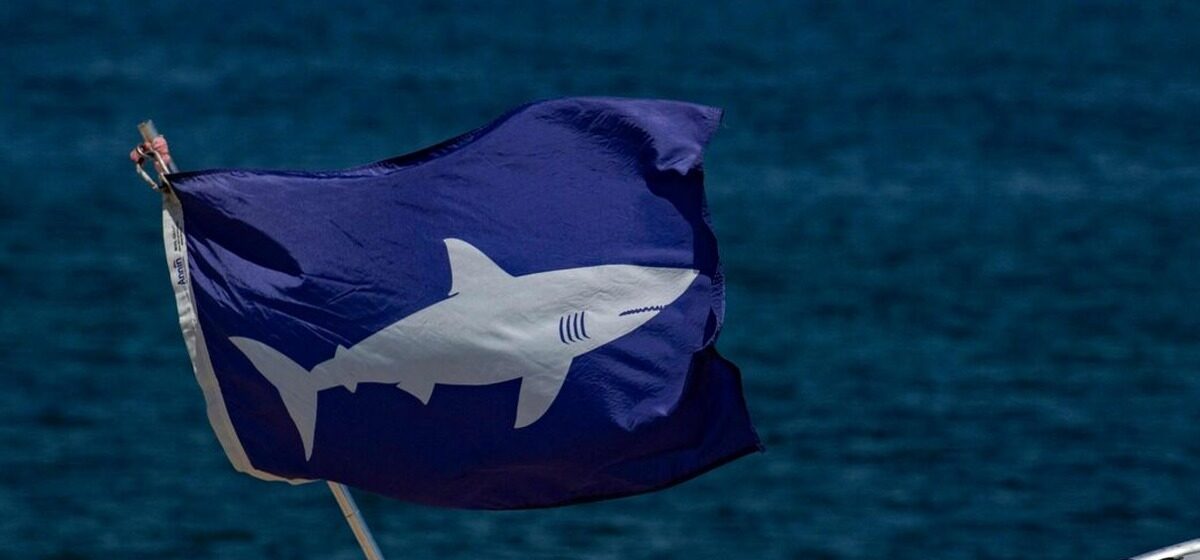 requin - Nouvelle-Calédonie : Un surfeur retrouvé mort, vraisemblablement victime d'une attaque de requin.