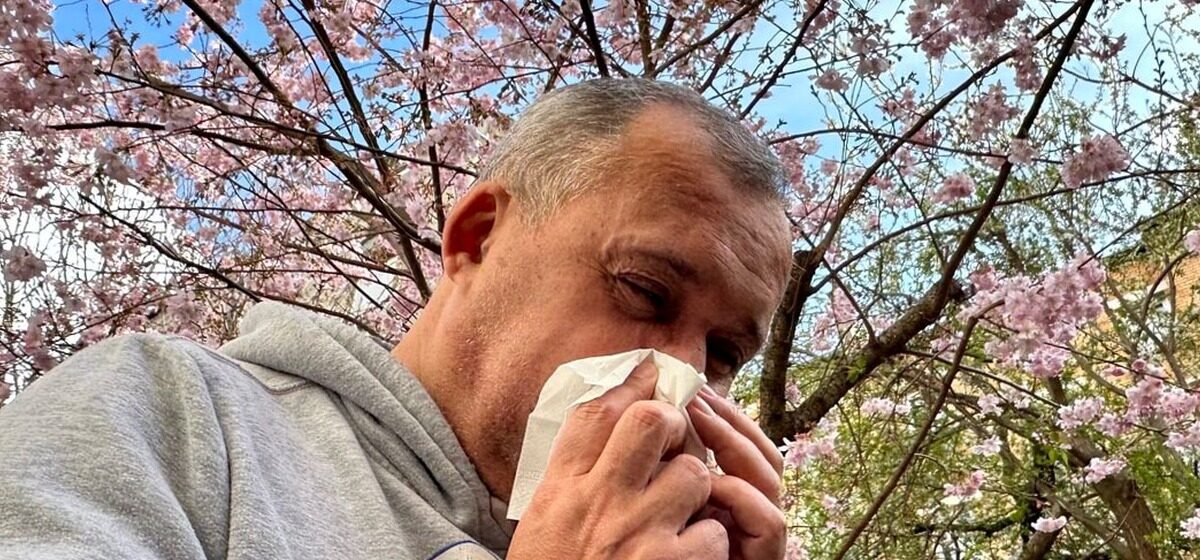 Pollens - La Saison des Allergies Débute : Les Pollens d'Aulne Sont Déjà Présents Partout en France