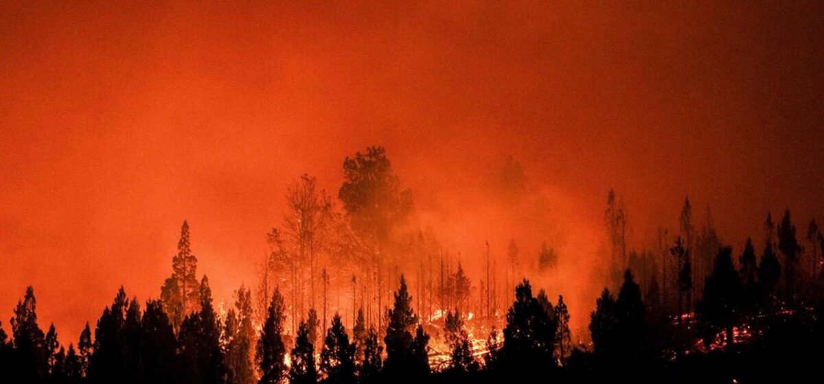 Cerveau - « Notre Cerveau Est Le Plus Vulnérable » : La Fumée Des Feux De Forêt Fait 24 000 Victimes Par An Aux États-Unis