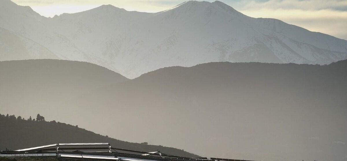 Agriculteurs - Artichauts en péril : Après la tempête, « une multitude de petits sinistres » chez les agriculteurs des Pyrénées-Orientales