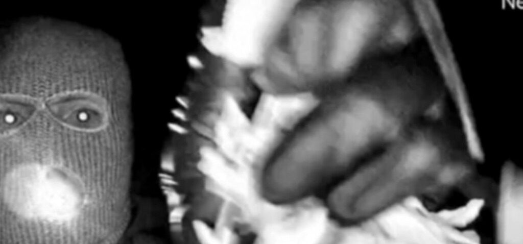 FBI - Le FBI publie des images d'une personne masquée dans la recherche de la mère de Savannah Guthrie