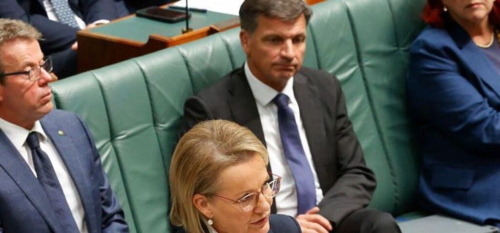 leader - Le leader de l'opposition australienne sous pression après une démission clé