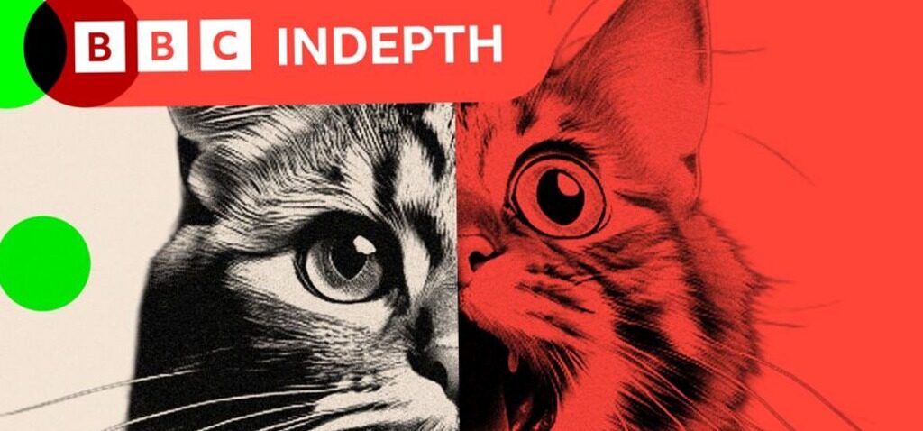 IA - L'« slop » de l'IA transforme les médias sociaux - et une réaction est en train d'émerger