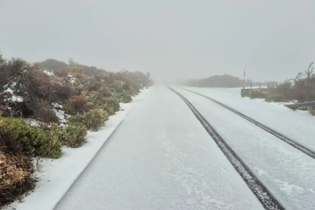 Canaries : route de montagne bordée de falaises, panneaux d’alerte et éboulis de pierres au sol