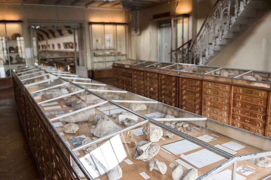 Façade du Muséum national d’Histoire naturelle à Paris, avec son entrée et des visiteurs devant