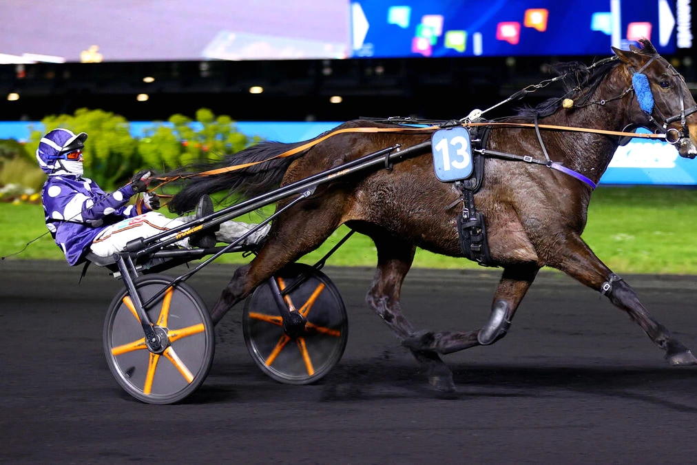 Homard Land en tête dans le quinté à Paris-Vincennes, trotteur lancé sur la piste avec sulky et driver