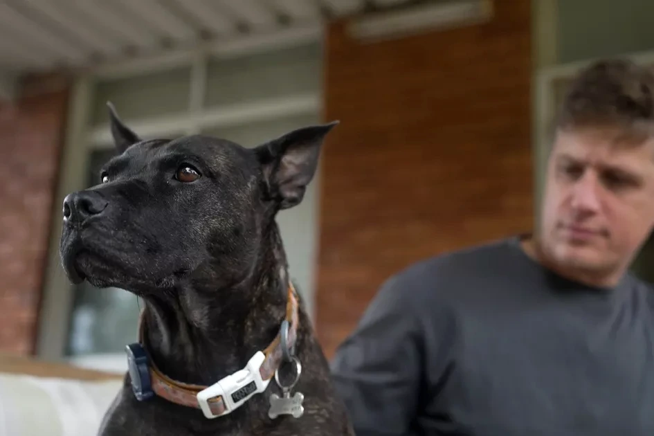 Ingénieur en IA en blouse blanche tenant une seringue, chien sur table d’examen chez le vétérinaire