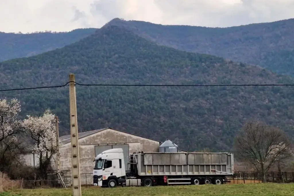 Vache dans un enclos, avec lésions cutanées visibles, illustrant la dermatosis nodulaire en Aragon
