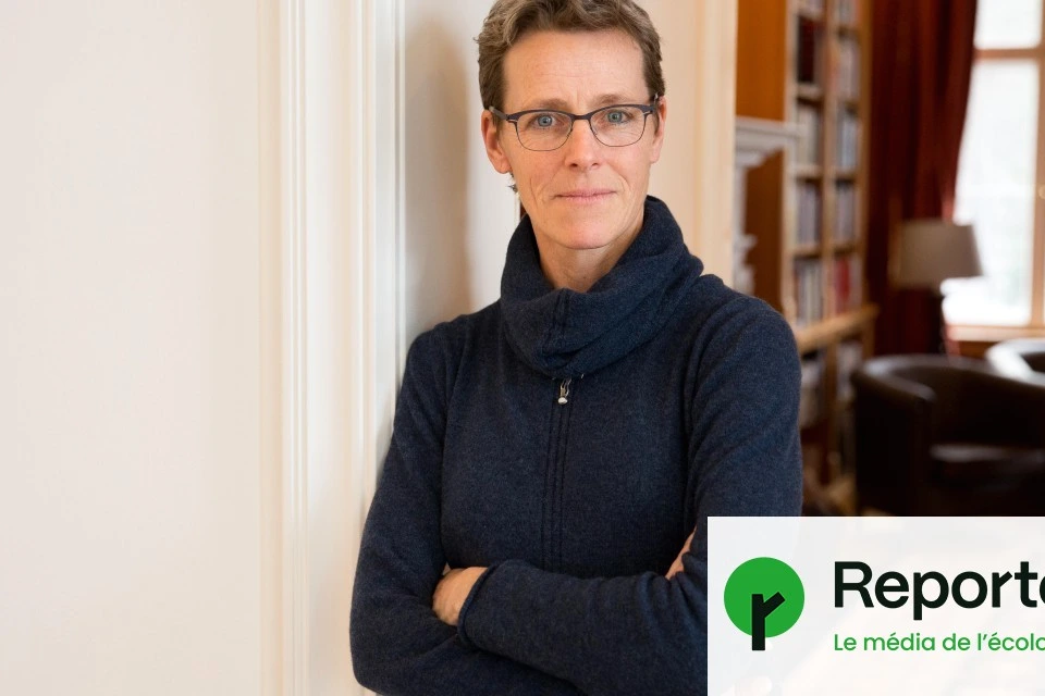 Myrtilles de Tchernobyl dans un bol de petit-déjeuner, posées sur une table en bois près d’une cuillère