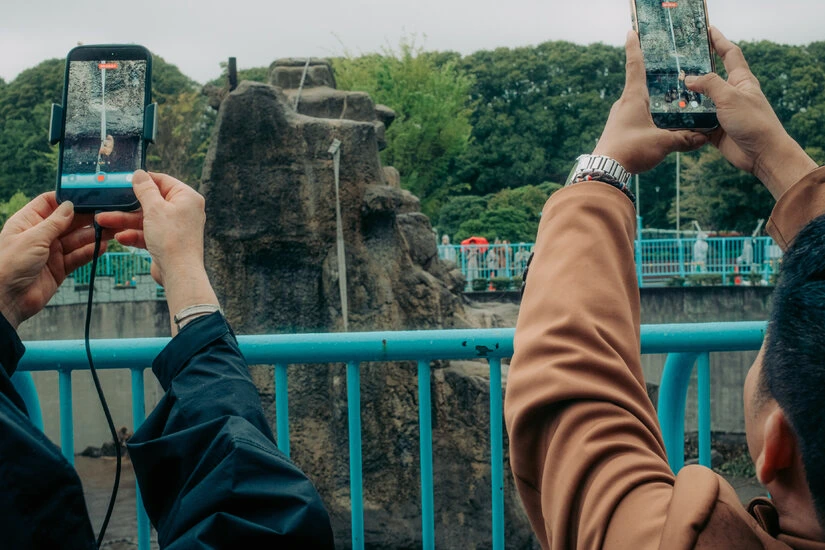 Deux Américains menottés escortés par la police devant l’entrée d’un zoo au Japon, près d’un enclos clôturé