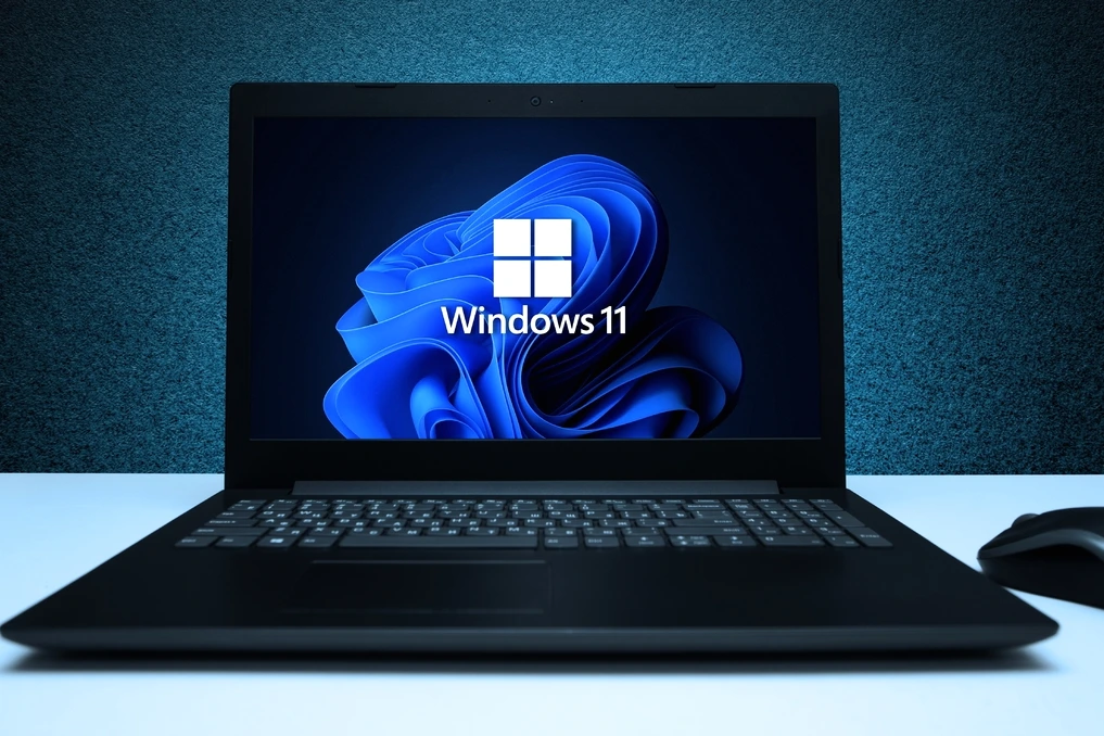 Écran Windows 11 affichant une alerte de mise à jour de mai, avec icône Wi‑Fi barrée et message d’erreur