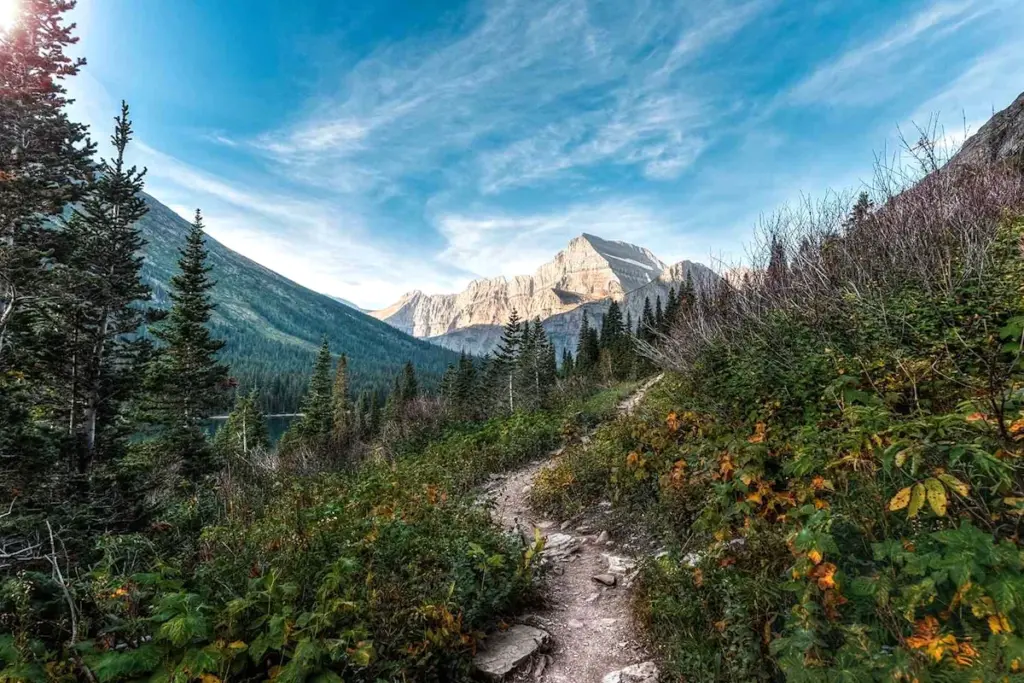 Randonneur retrouvé mort sur un sentier de Glacier National Park, rubans de police et forêt en arrière-plan