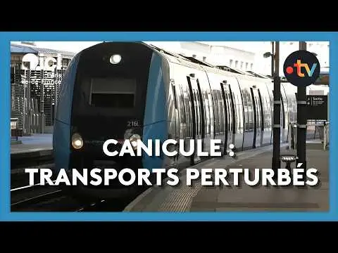 Vidéo en lien avec l'article