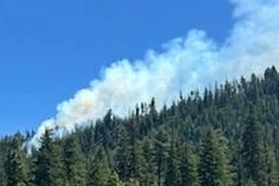 Avion de chasse écrasé dans l’État de Washington, fumée noire et flammes visibles près des débris
