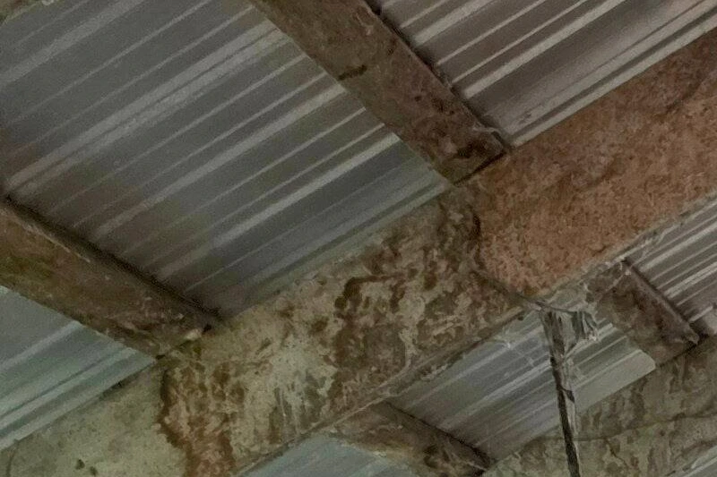 Ferme délabrée avec carcasses d’animaux au sol, une femme observe la scène près d’une grange ouverte
