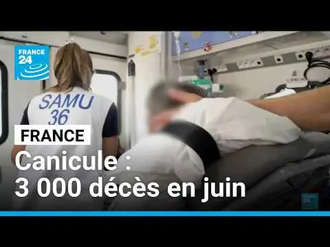 Vidéo en lien avec l'article