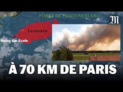 Vidéo en lien avec l'article