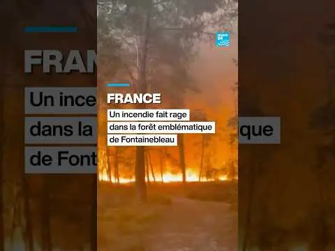 Vidéo en lien avec l'article