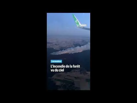 Vidéo en lien avec l'article
