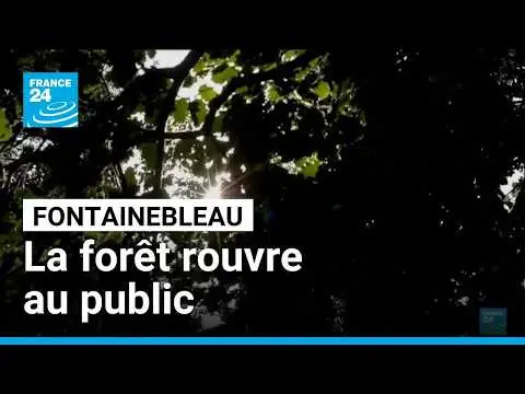 Vidéo en lien avec l'article
