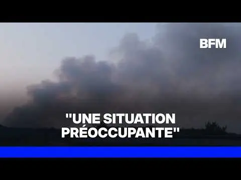 Vidéo en lien avec l'article