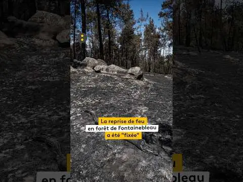 Vidéo en lien avec l'article