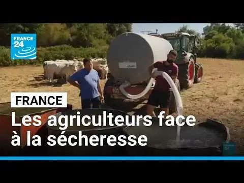 Vidéo en lien avec l'article