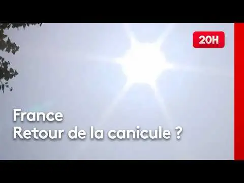 Vidéo en lien avec l'article