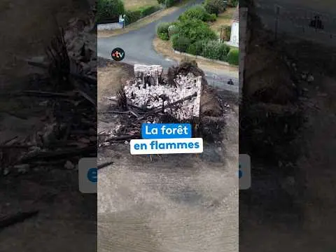 Vidéo en lien avec l'article